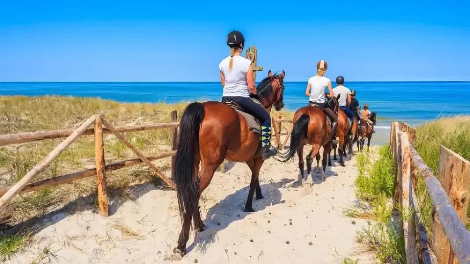 Side Horse riding - Image 1