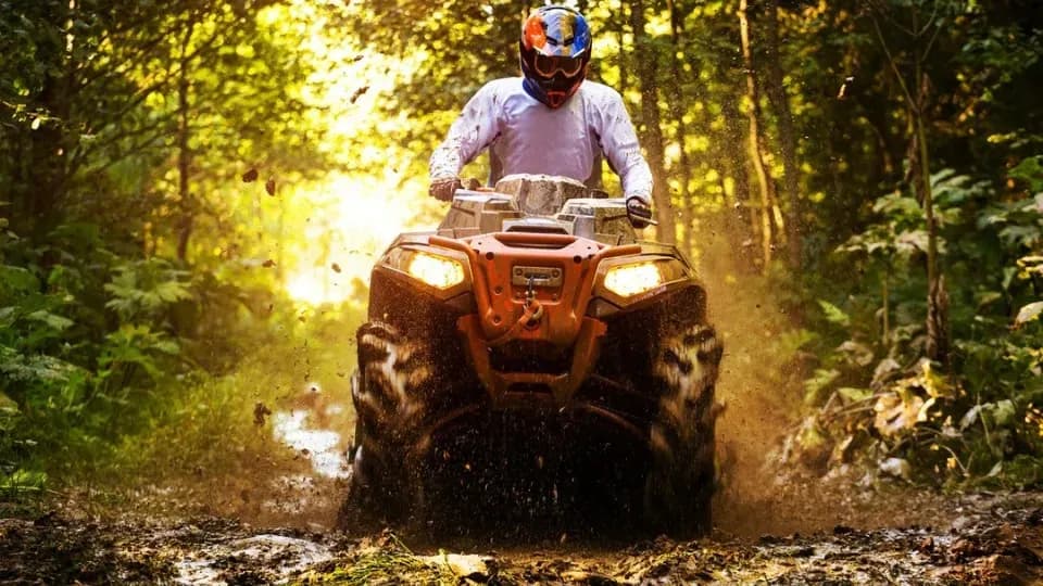 Side Quad Safari - Image 1