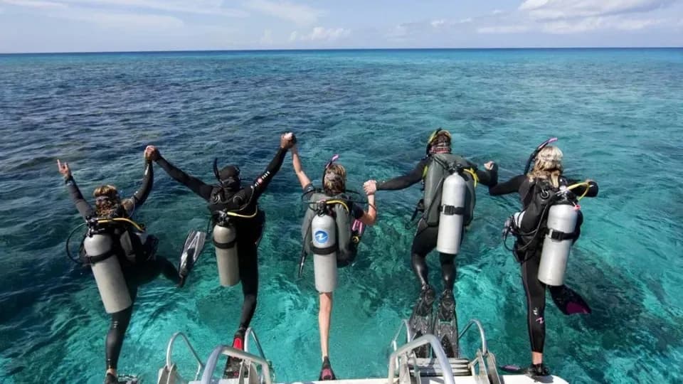 Side Scuba Diving Tour - Image 1
